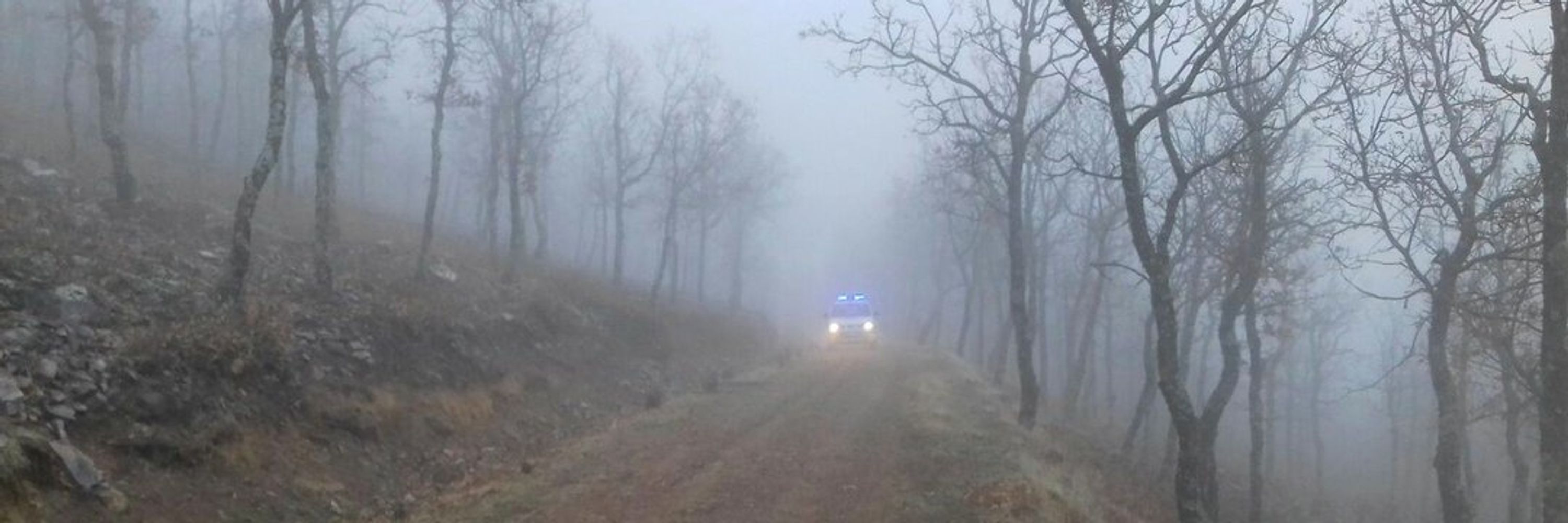 Asociación Española de Agentes Forestales y Medioambientales