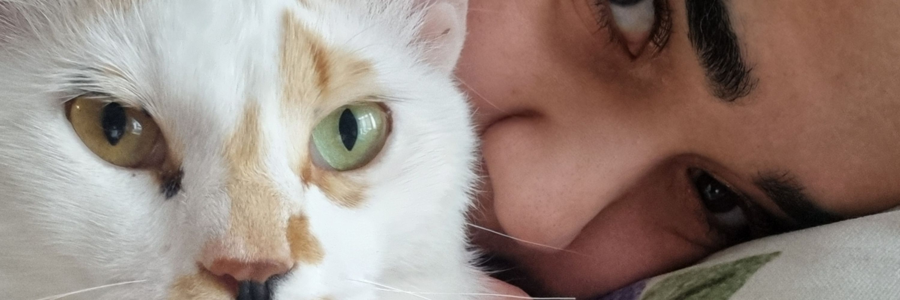 Lorkek💗