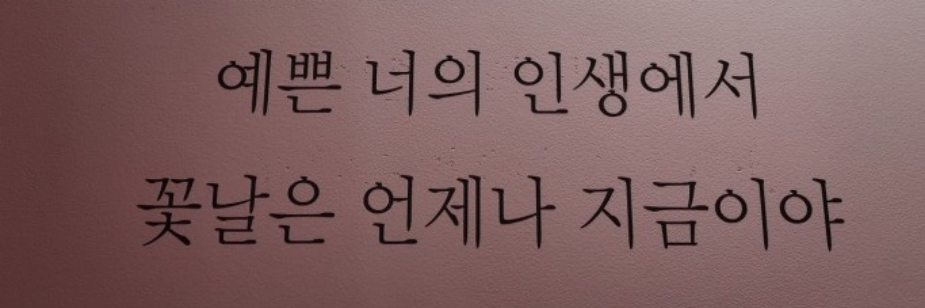 이수아