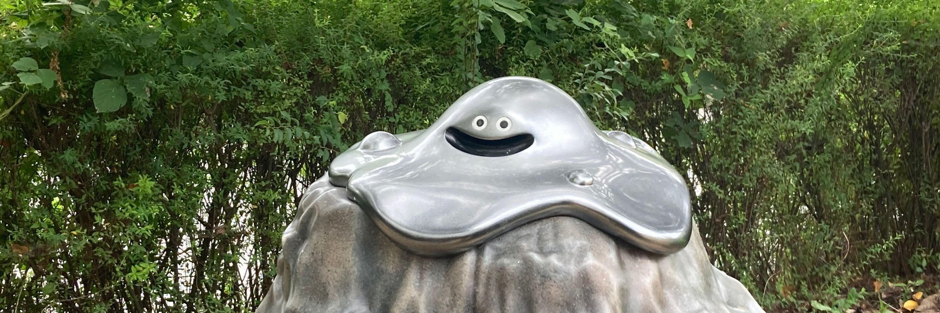 硬骨魚類