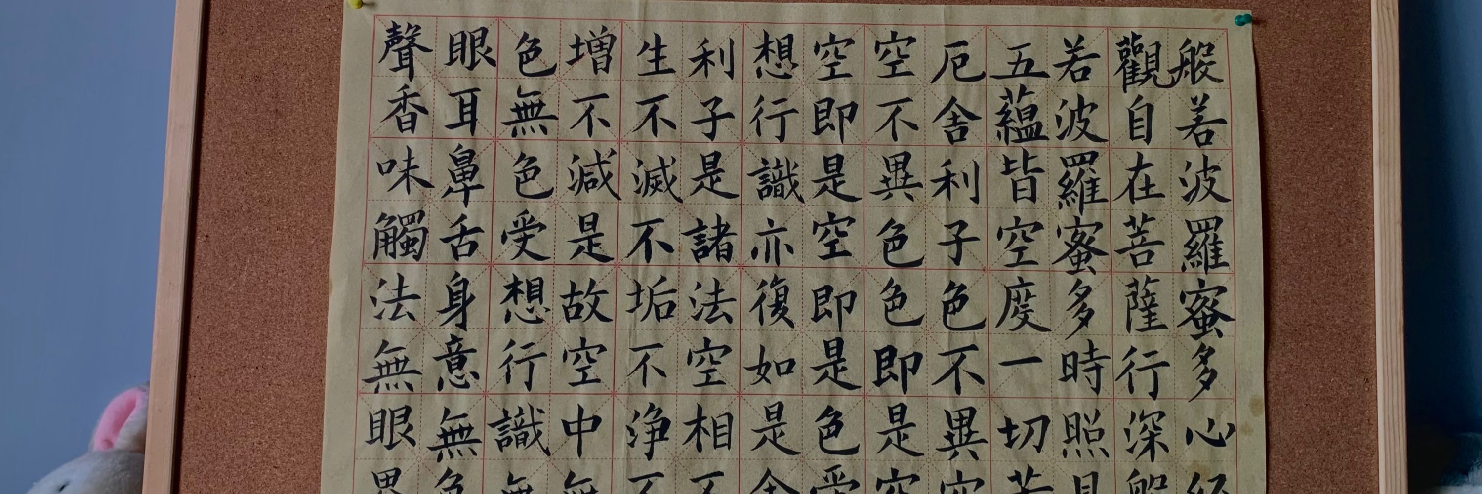 豆瓜