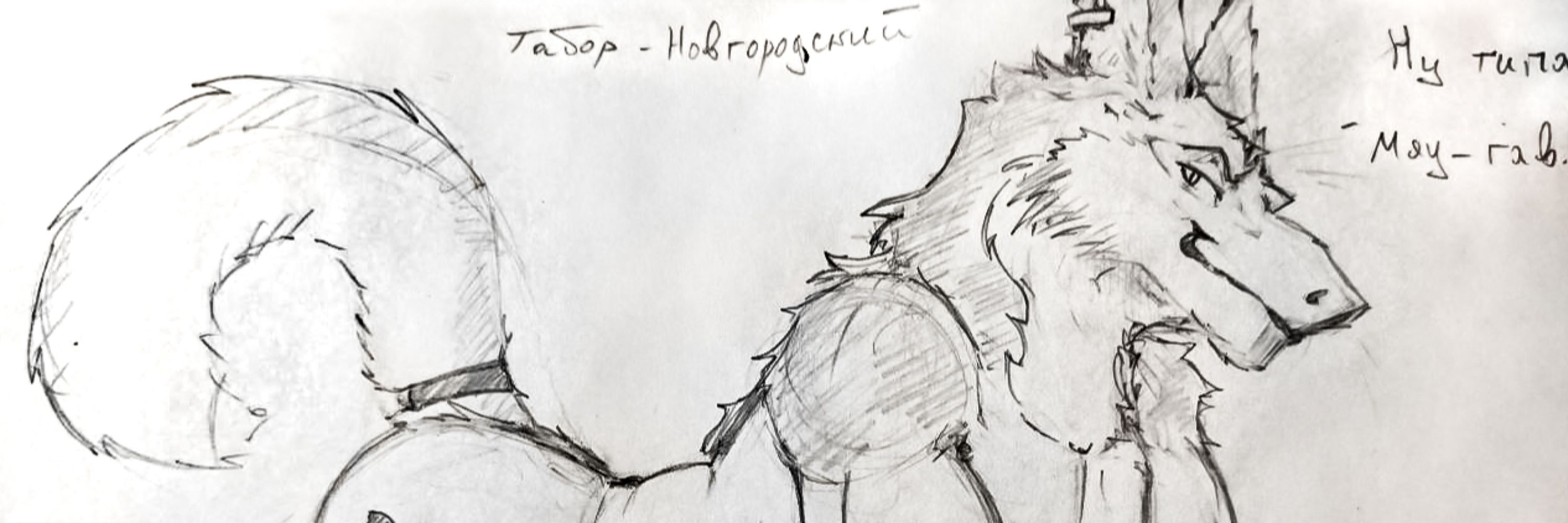 Anxious Boar (TAAB)