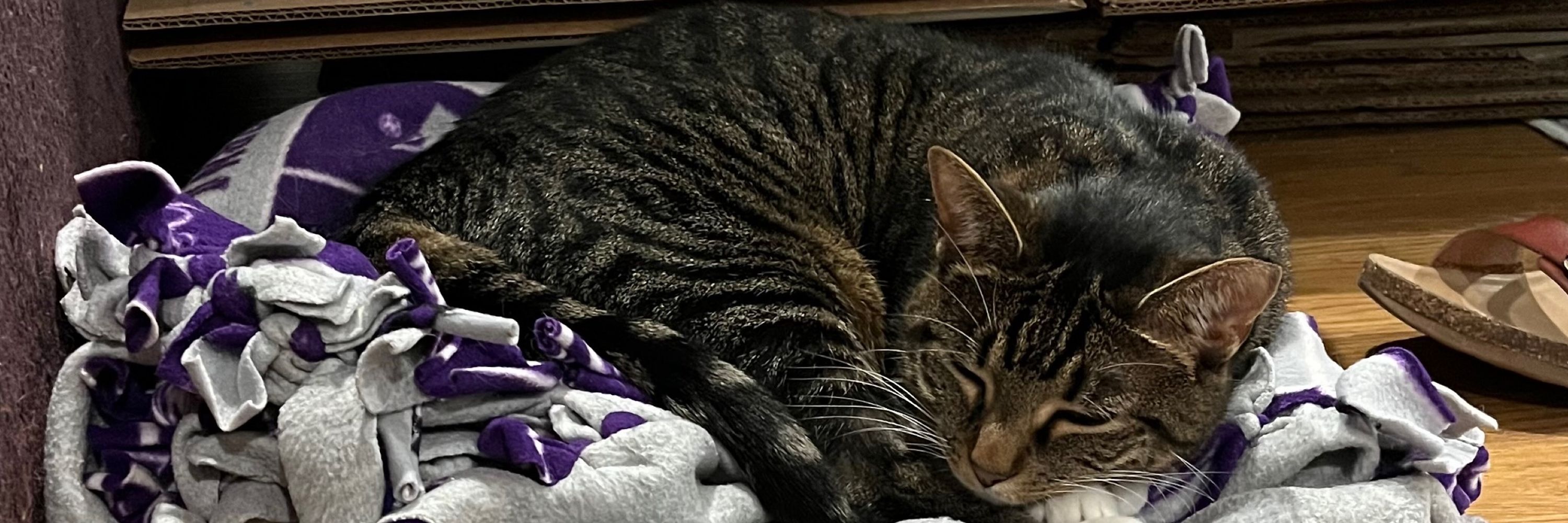 Emma (she/her), PhD