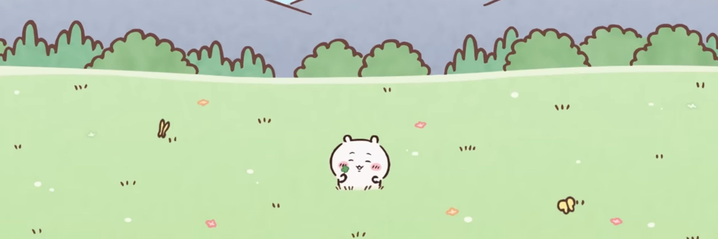 看海