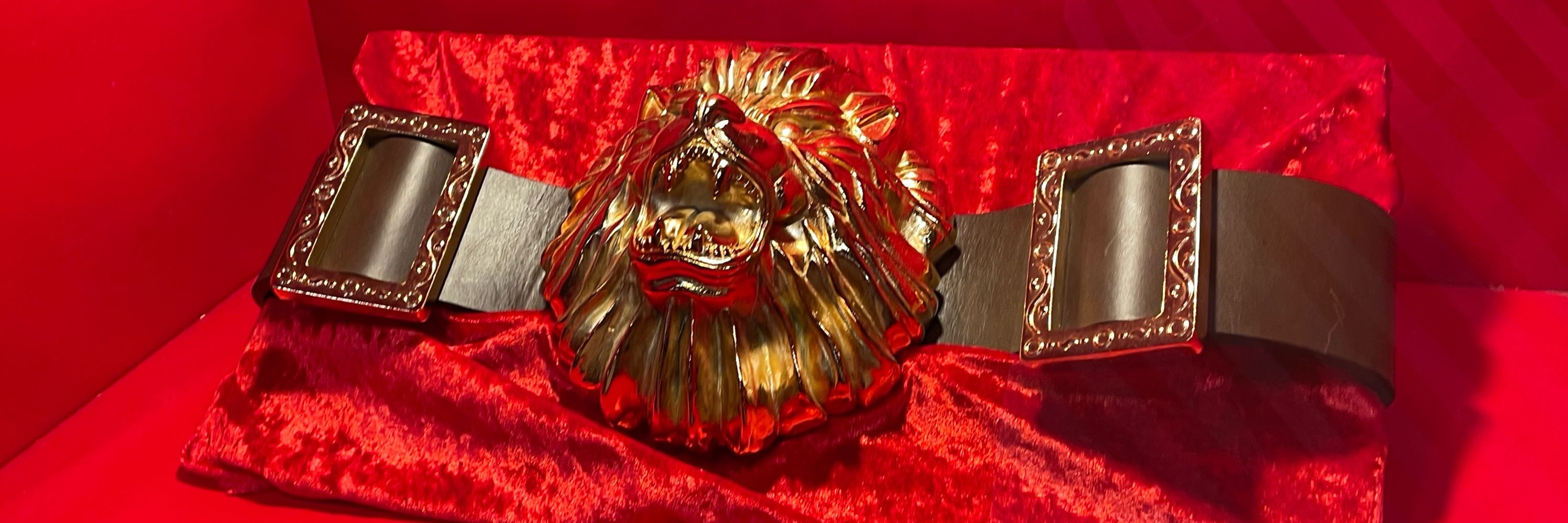 アスタ🐯