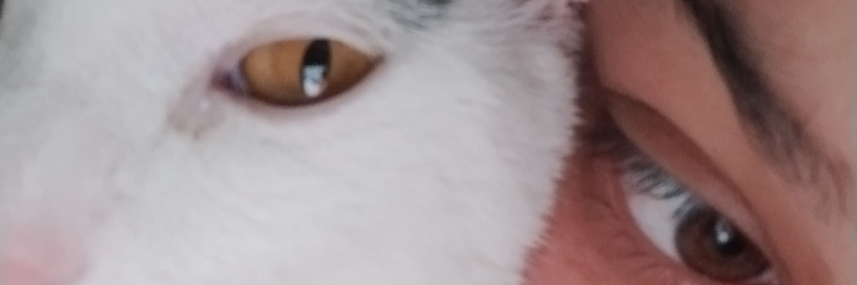 dudinha