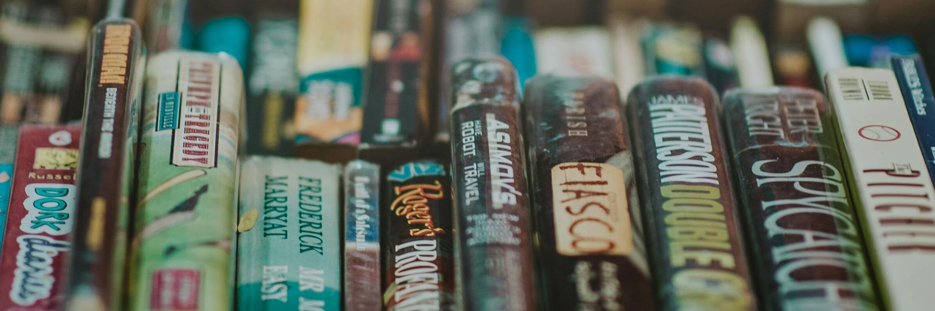  onelittlearchive 📚| BookSky 