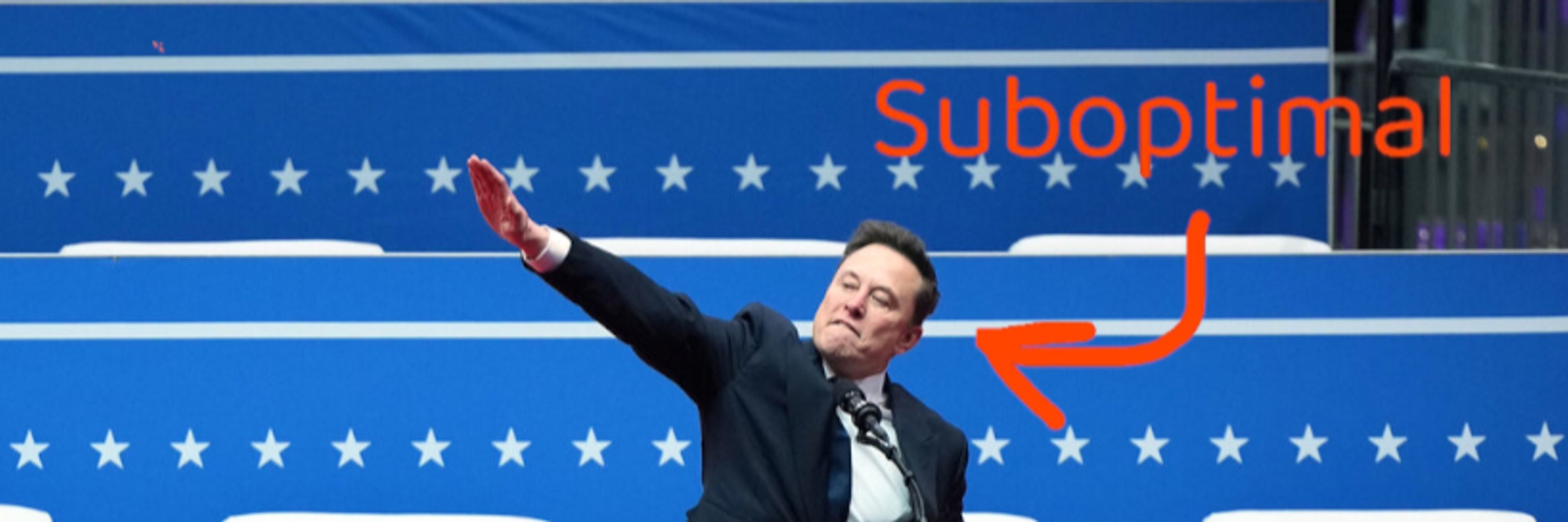 Elongated Muskrat