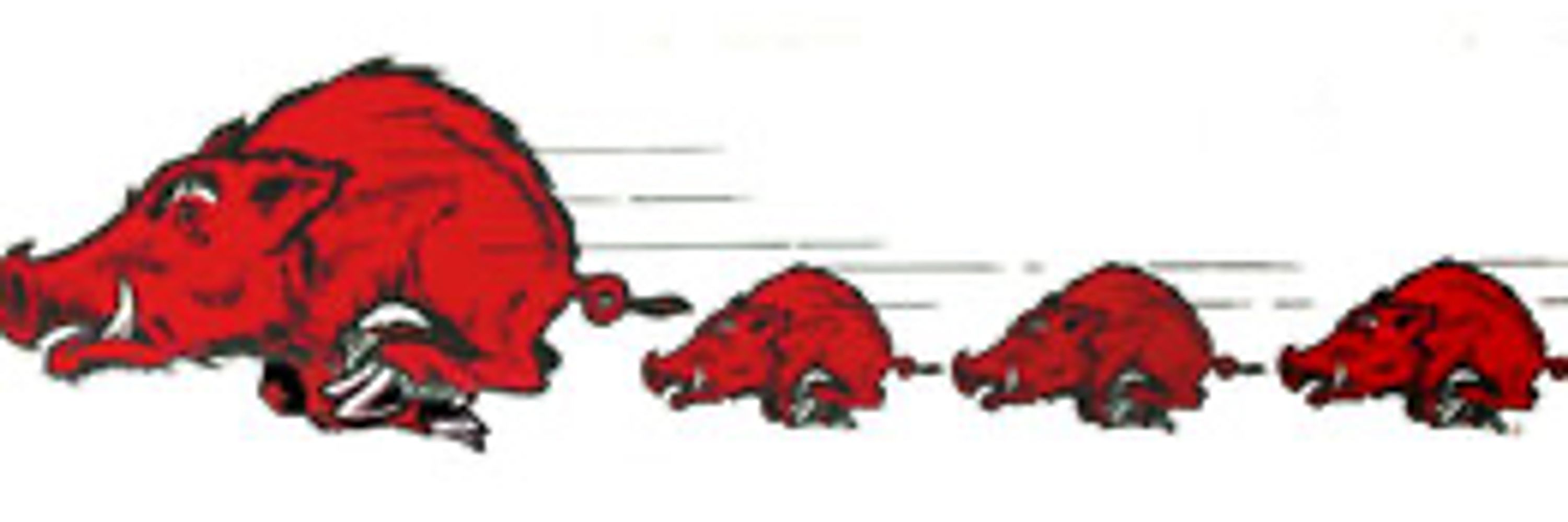 Razorback Jack