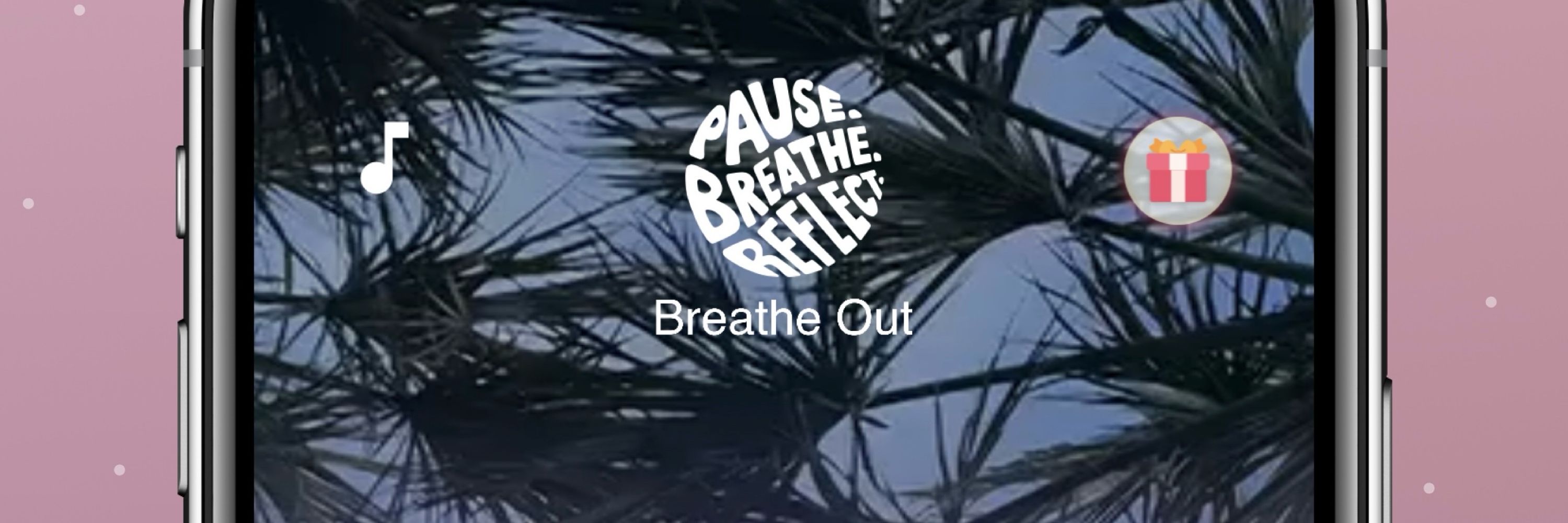 Pause Breathe Reflect