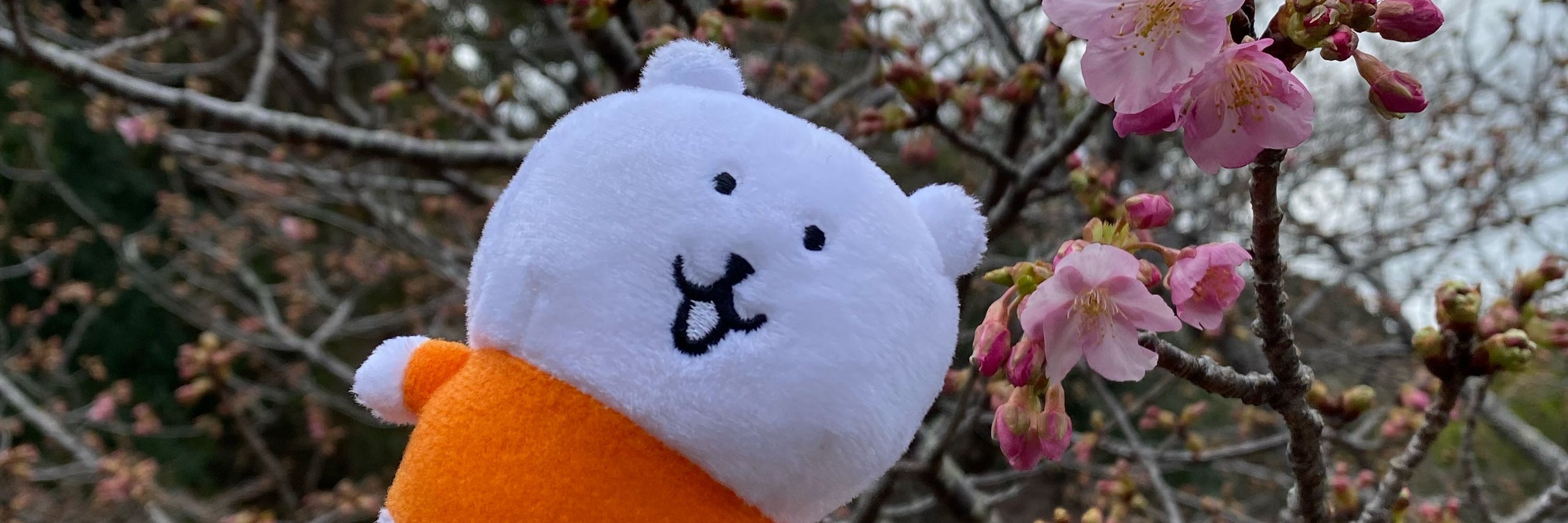 ちょこまき