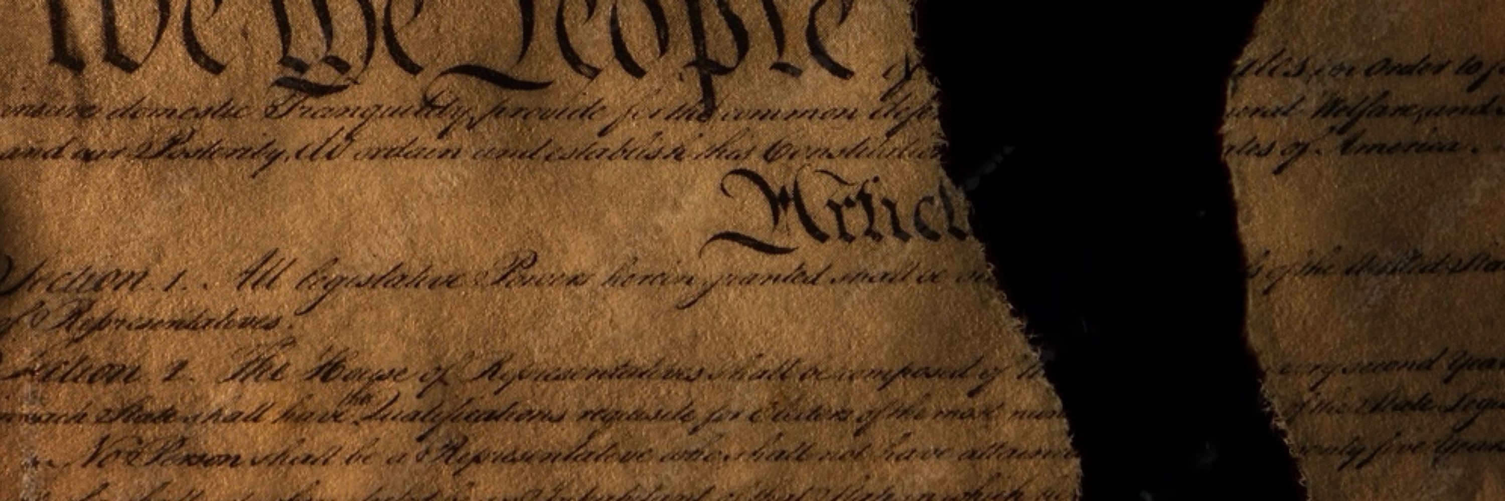 Alt Plog the Federal Cog
