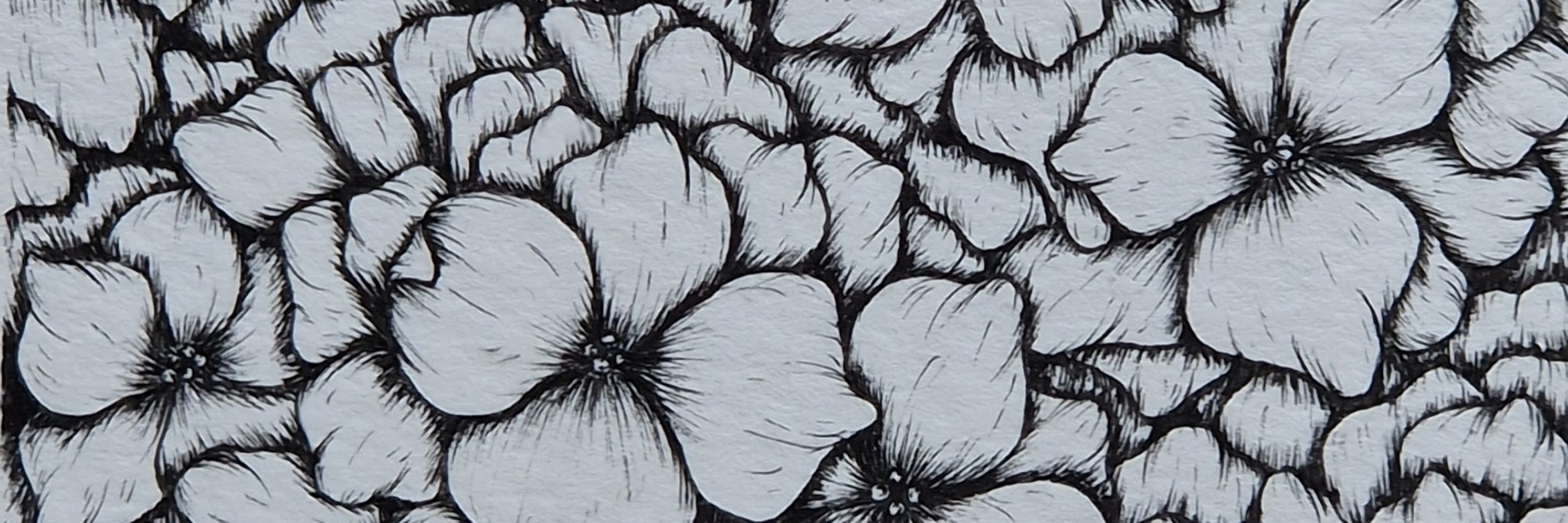 Alice Palmer - Artist