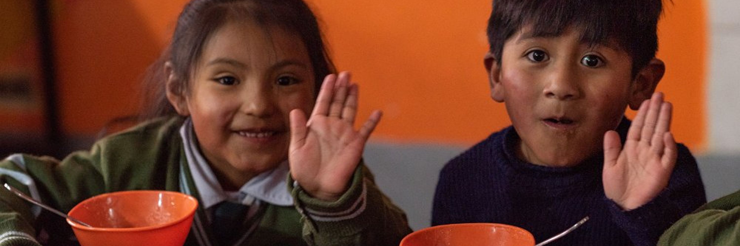 Help Bolivia Foundation