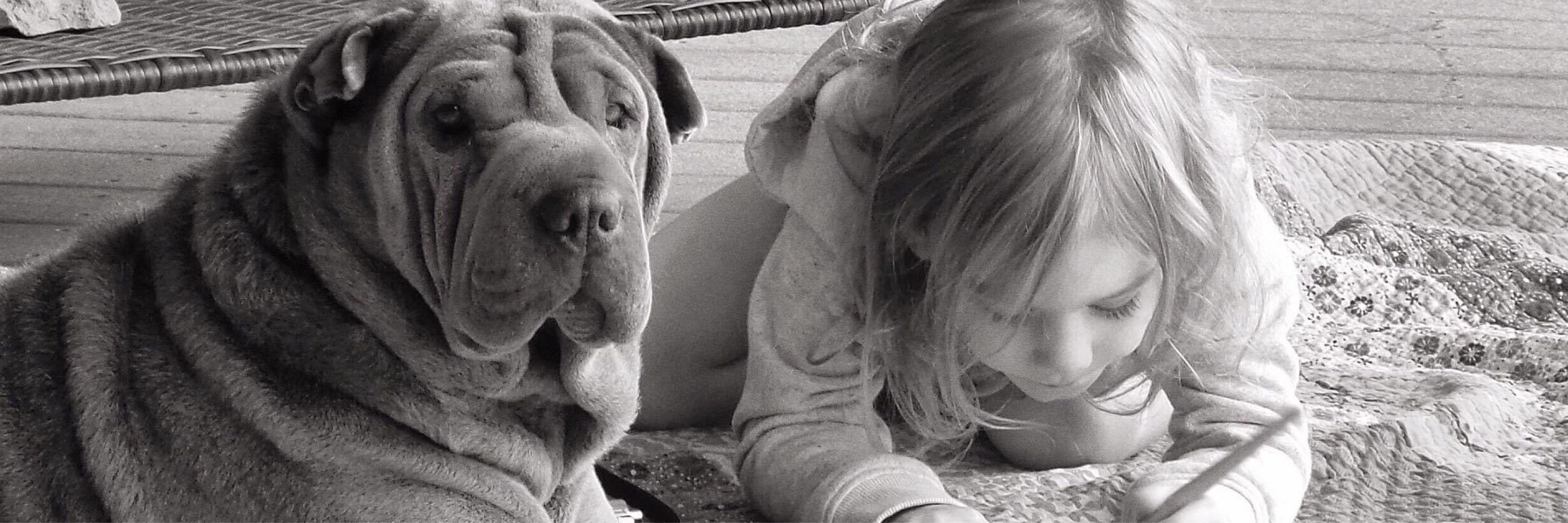 Isawasharpei