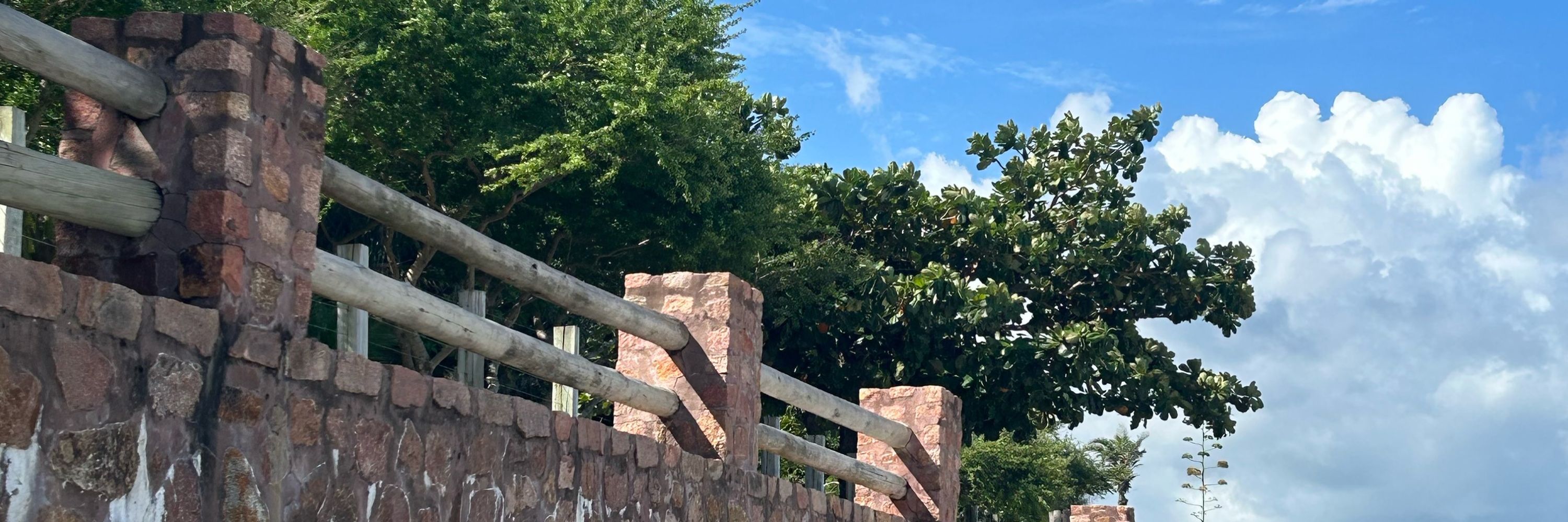 lu ☾︎