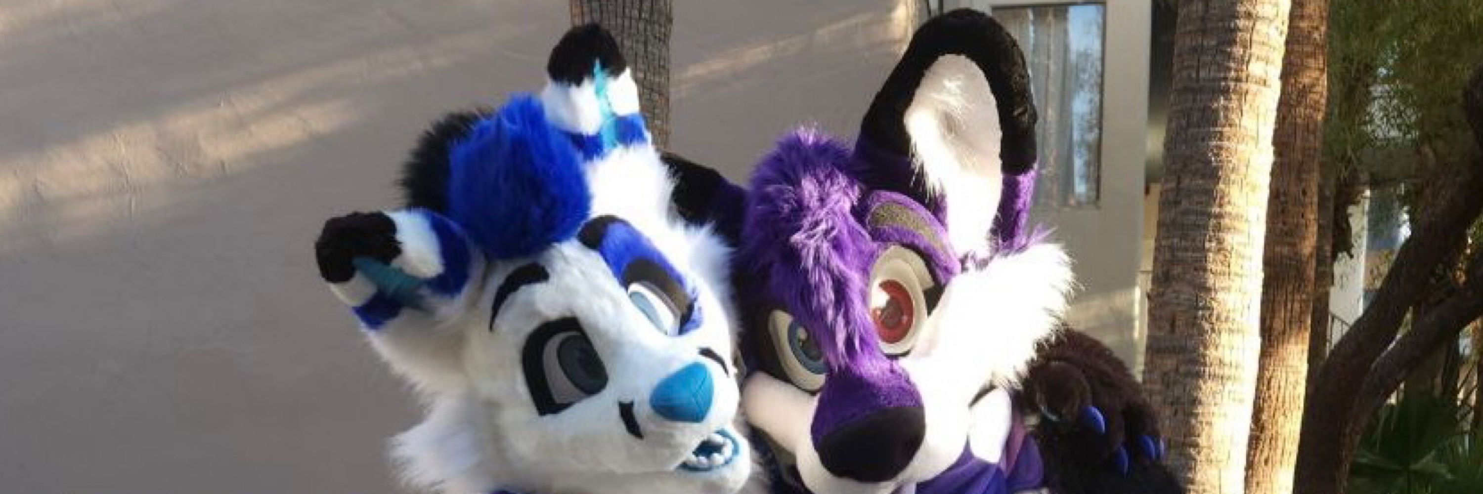 Bowie Fox 🩷💜💙