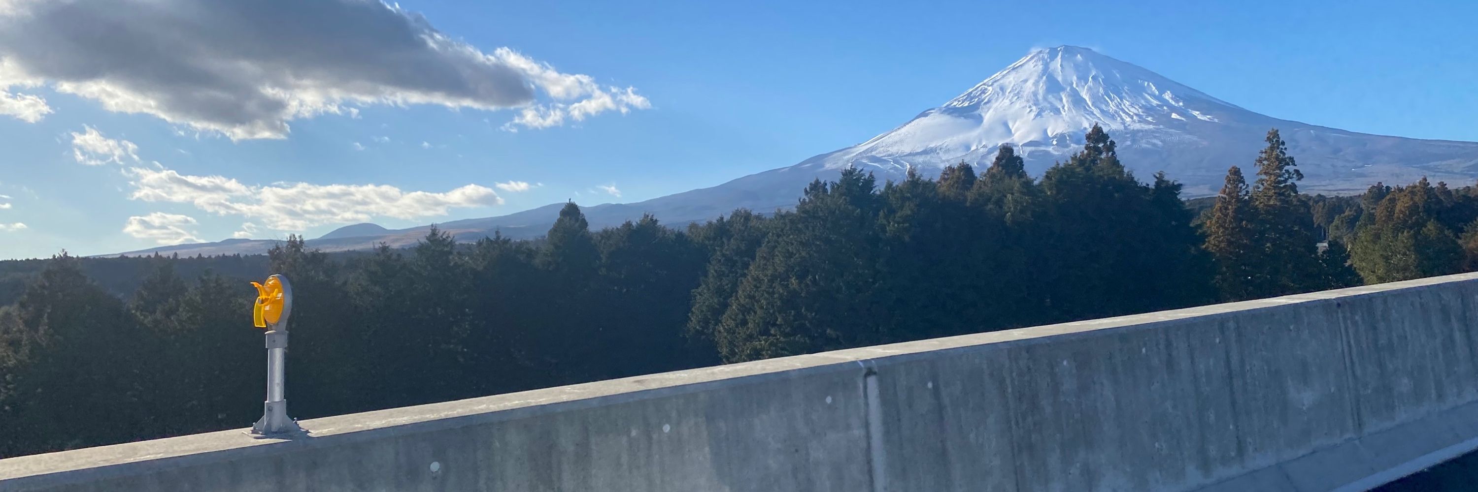 しろこ