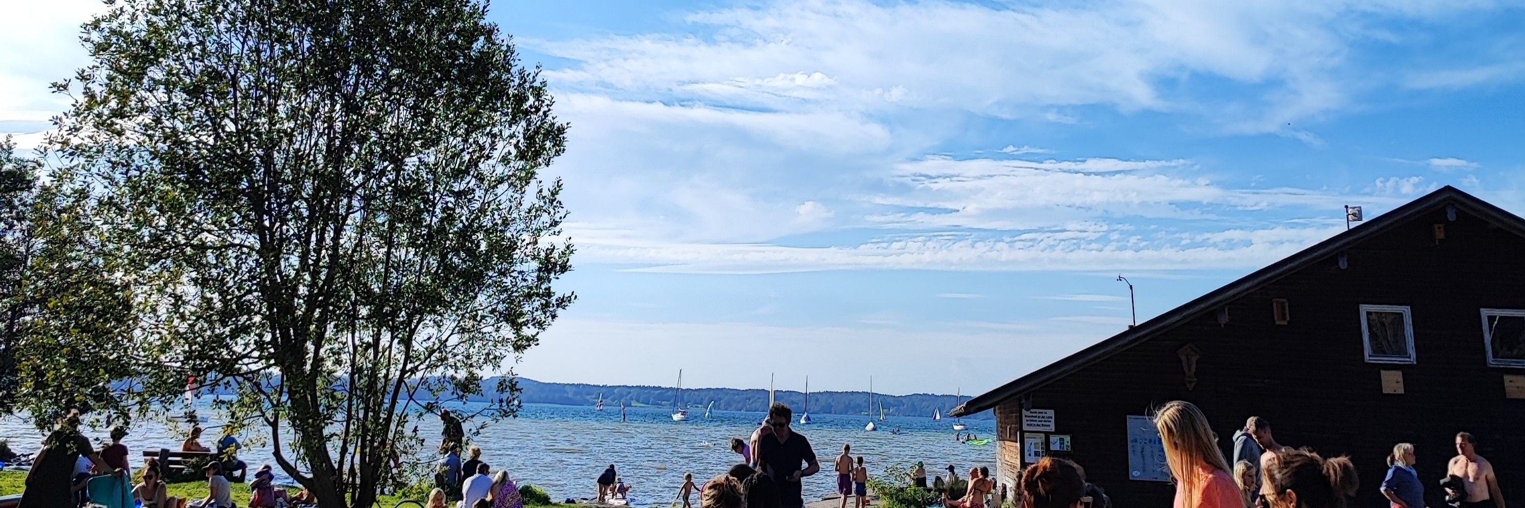 Blödi 🐝💚