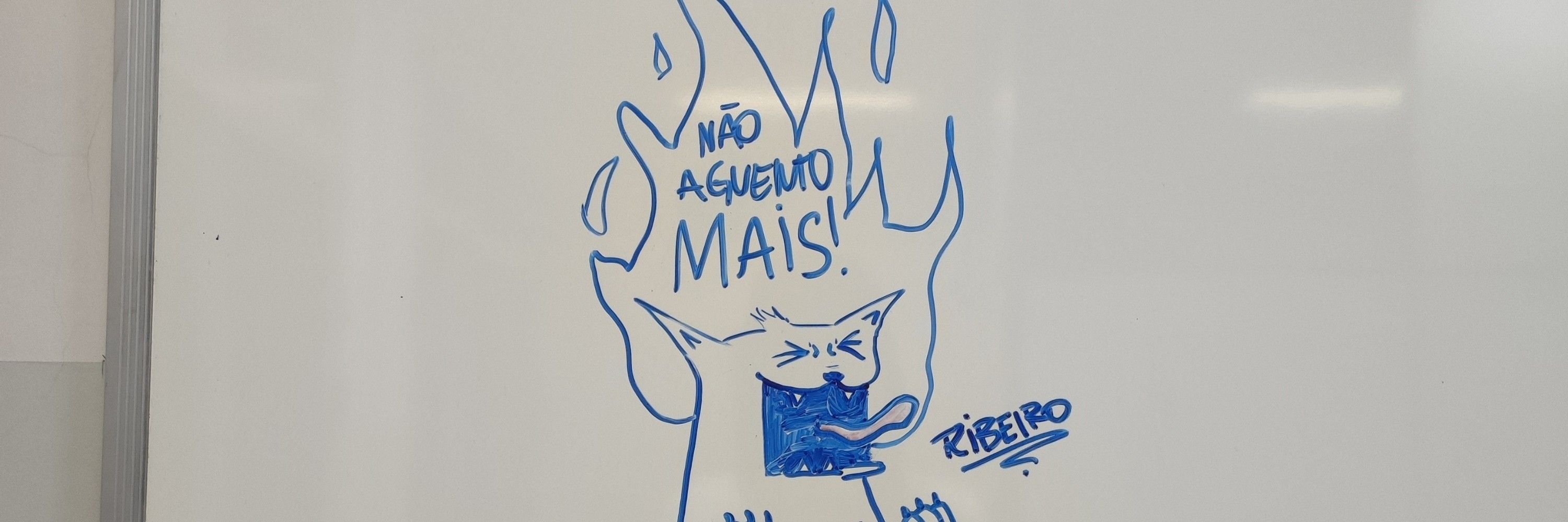 ribeirox