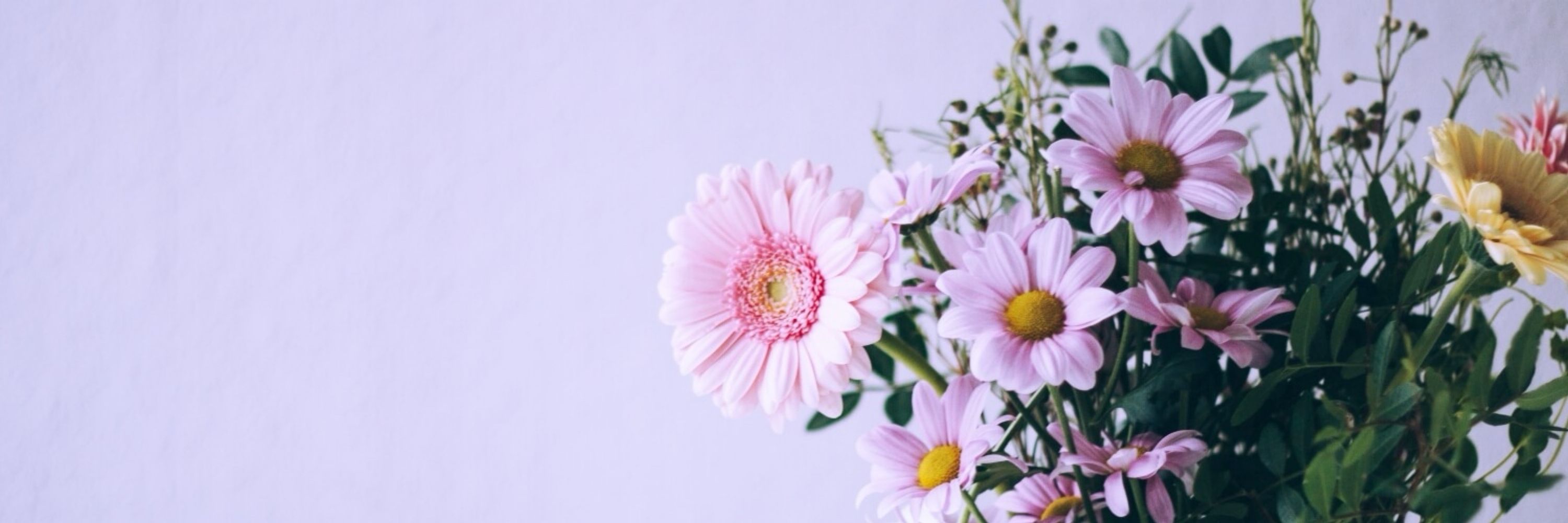 pi☆pi〜あつ森🌸