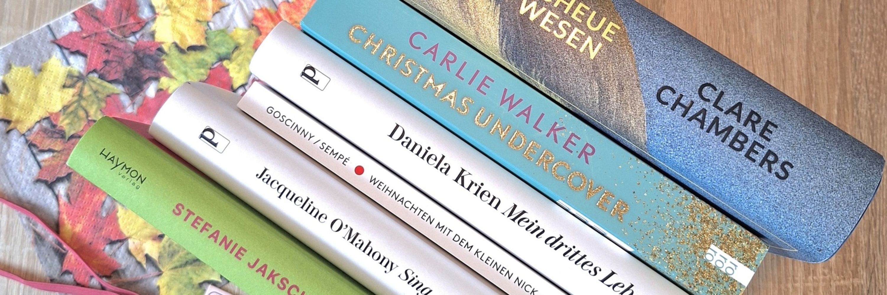 Der_knappe_Buchblog