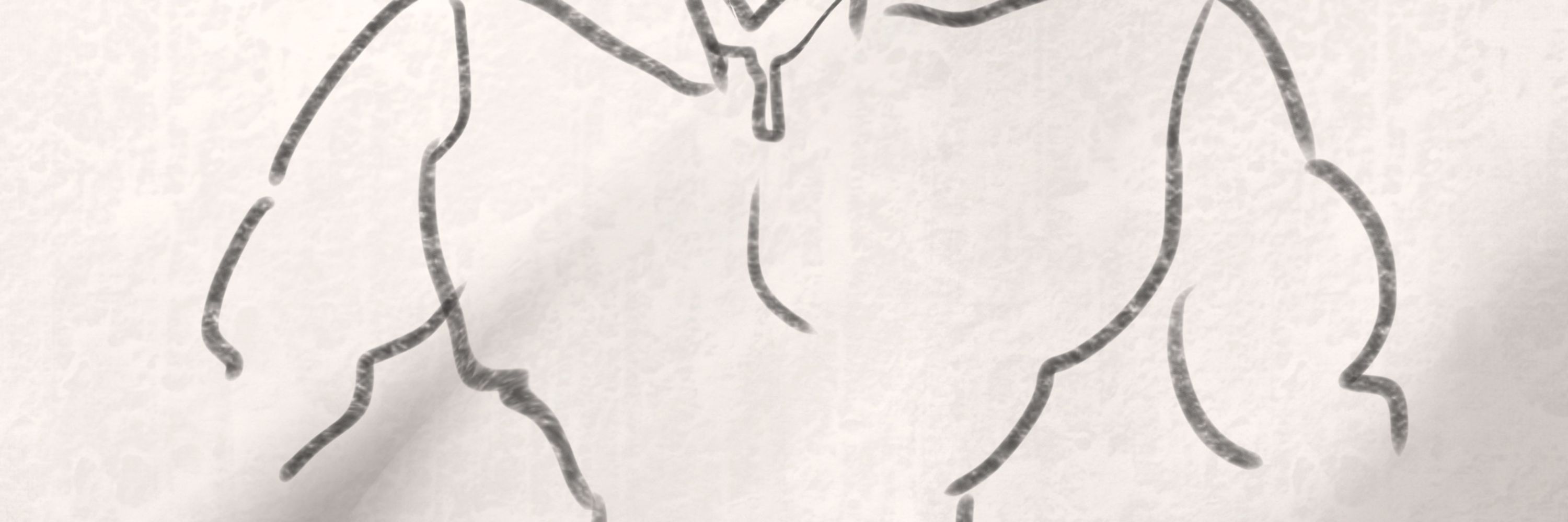 A_San_ni