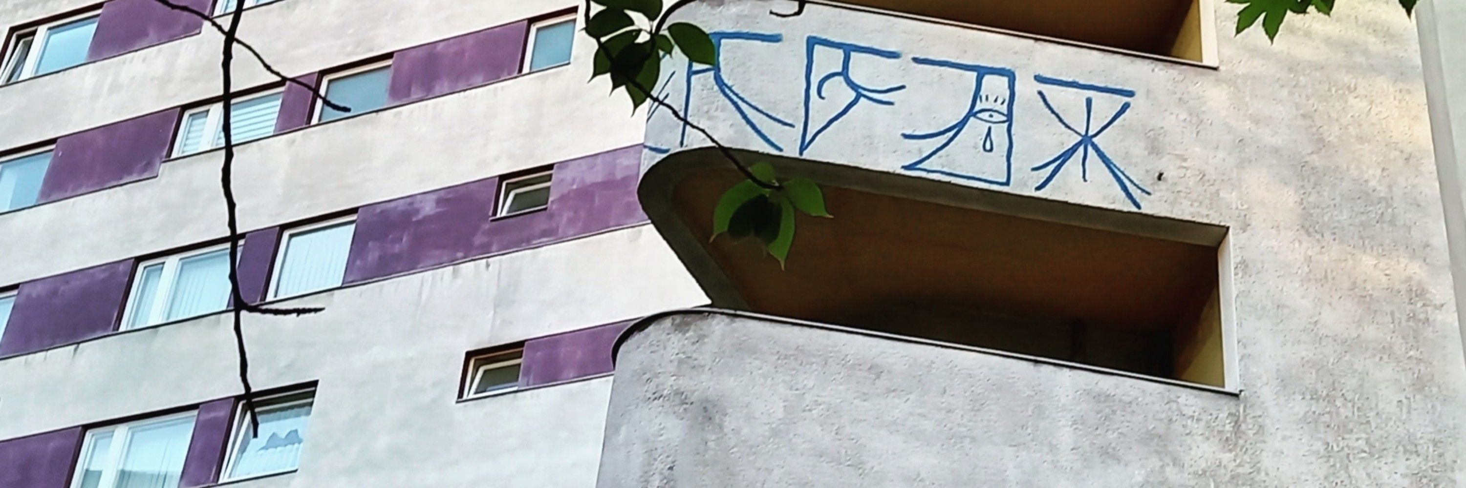 taphi