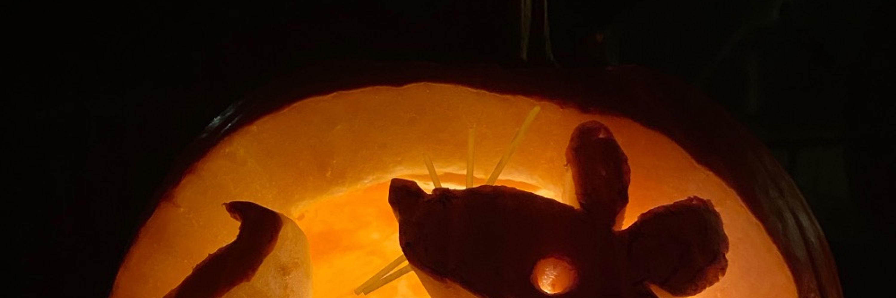 Moxie Moth Blackwood