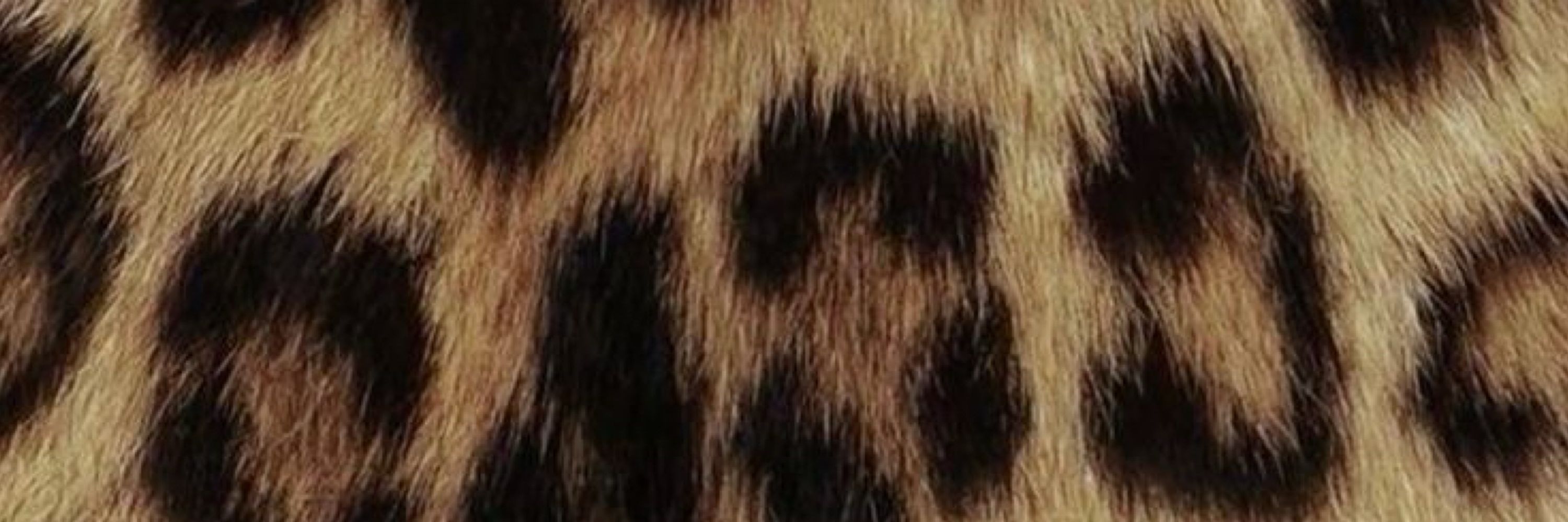 Ray