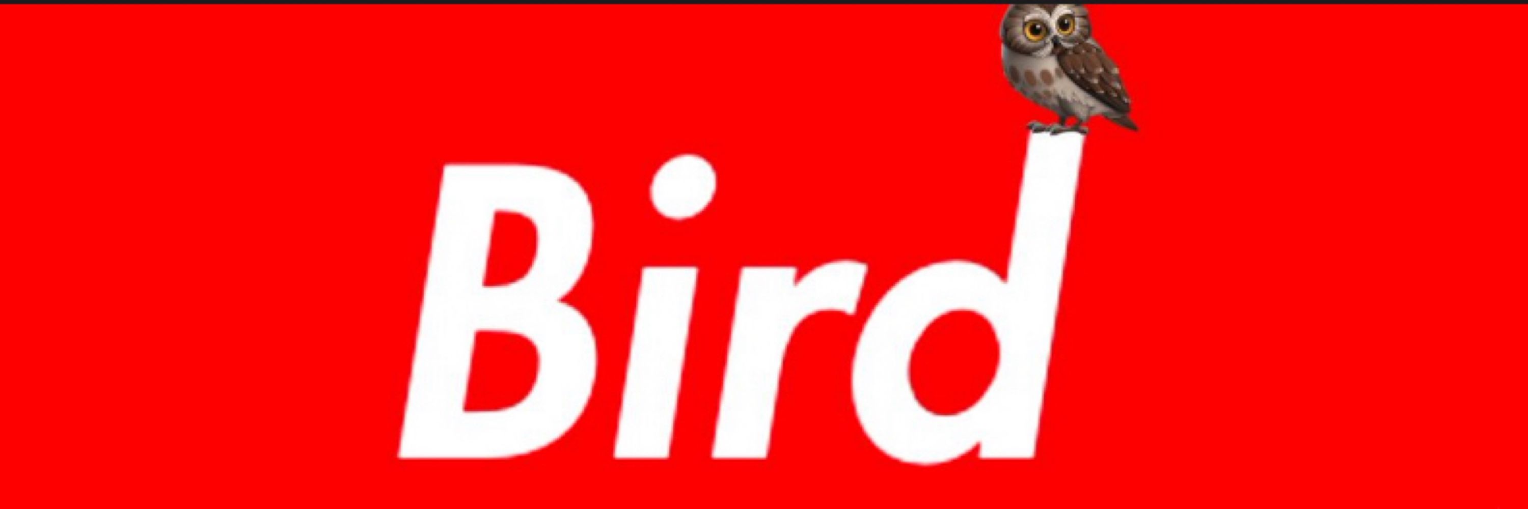 B1RD1E