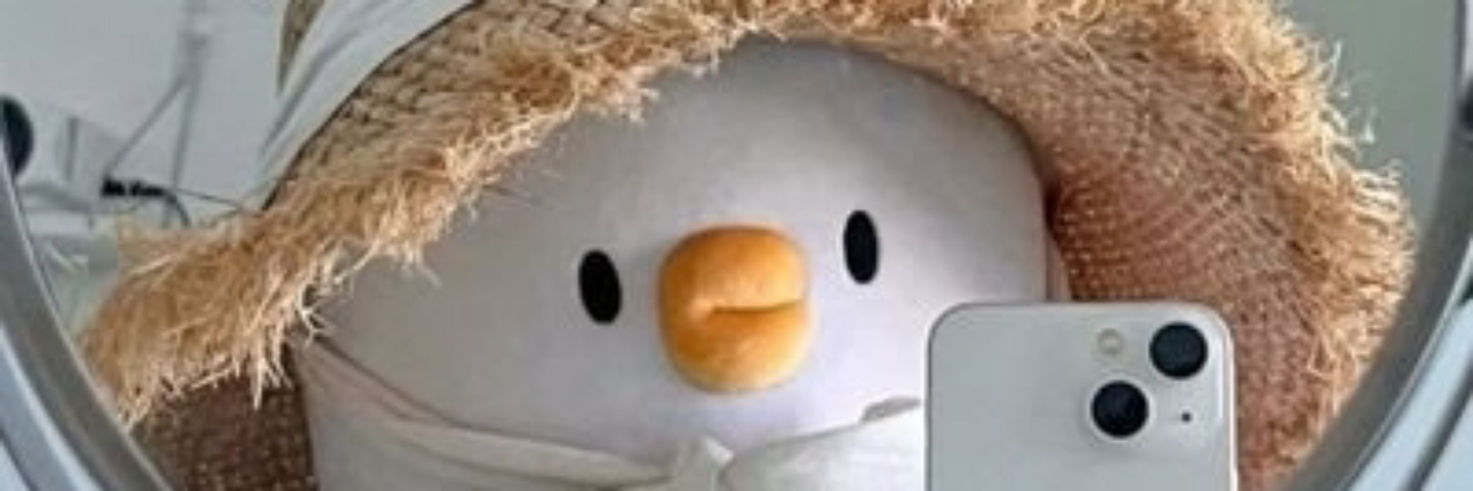 เสือกเพื่อ?