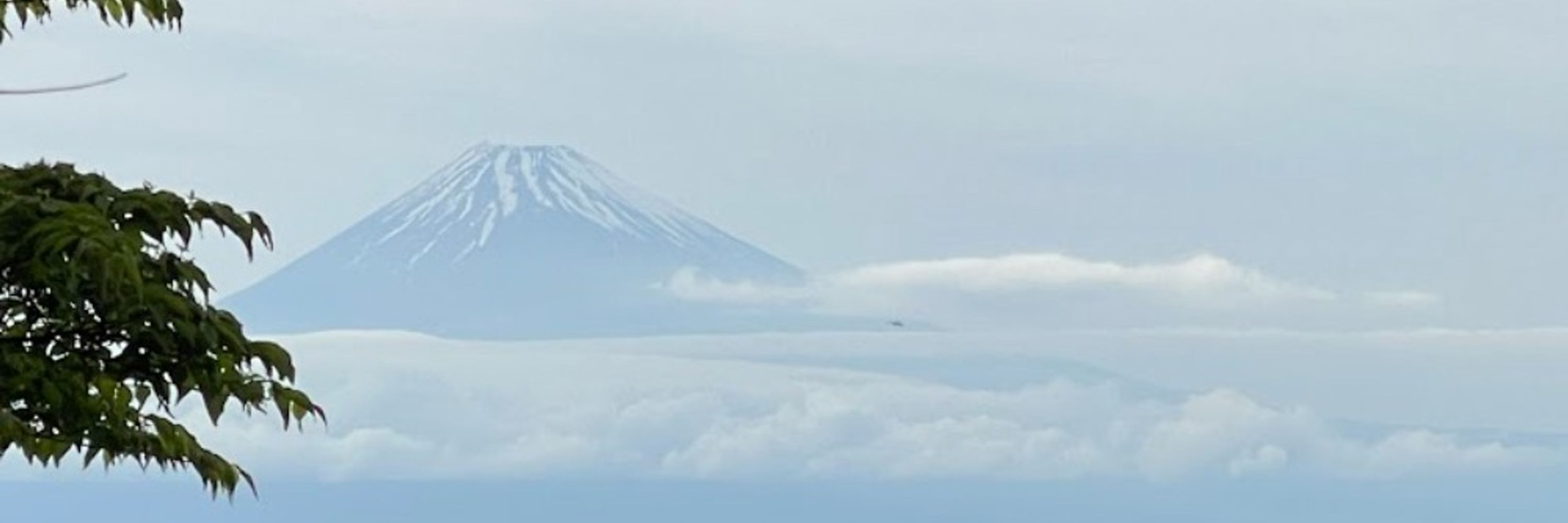 清 義明 (Yoshiaki Sei)