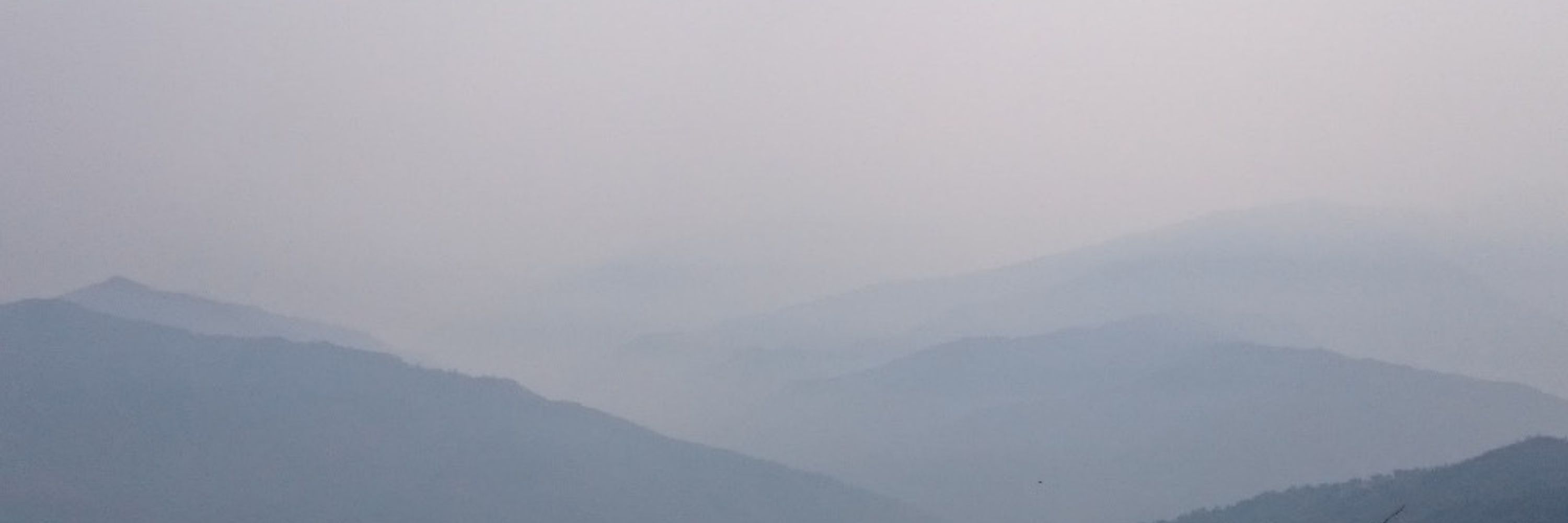 Setu