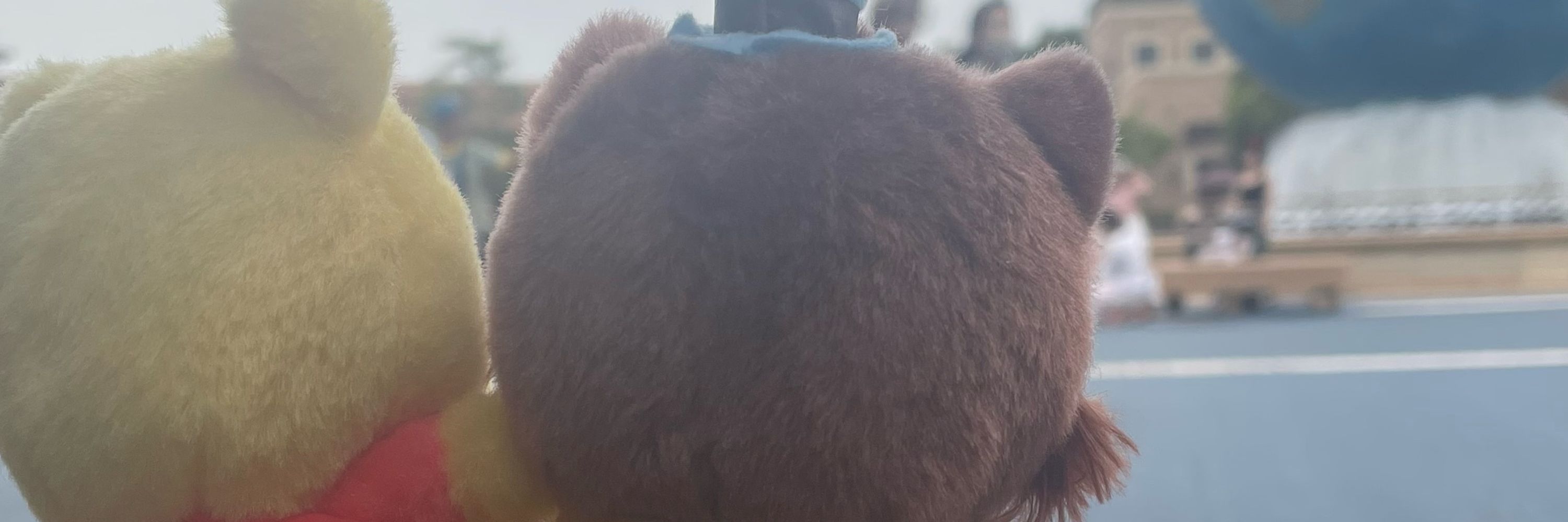 ꙳⋆🧸T⃝O⃝W⃝A⃝ 🧸⋆꙳
