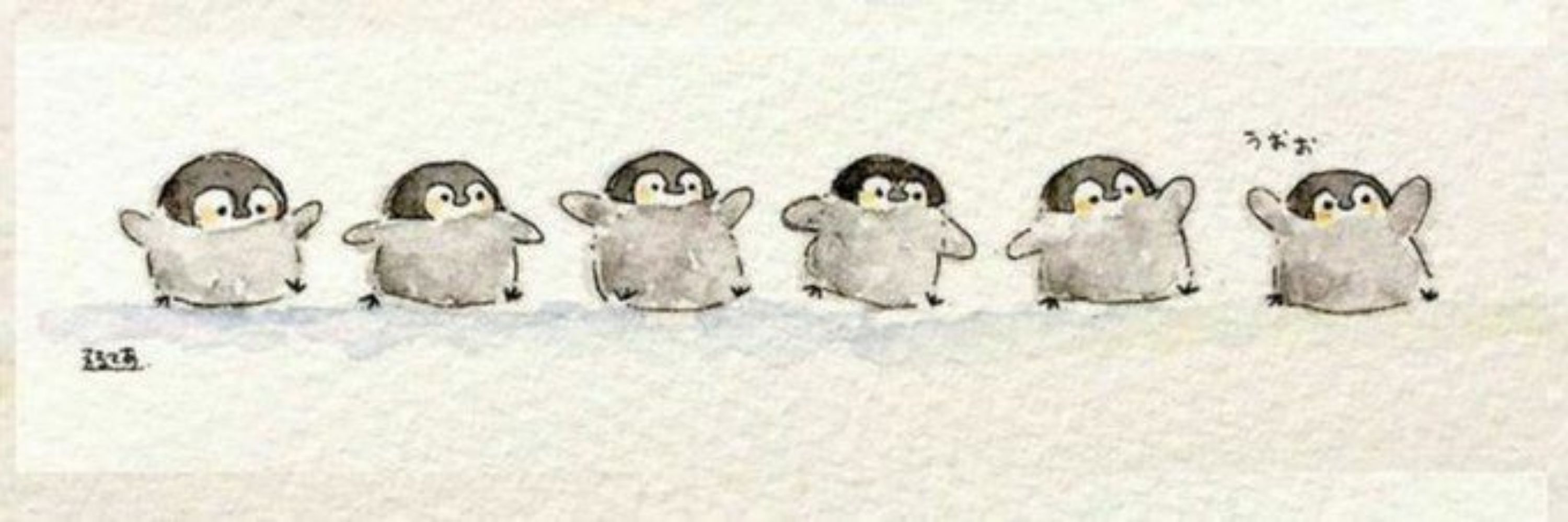 gatinho jornalista 🐧