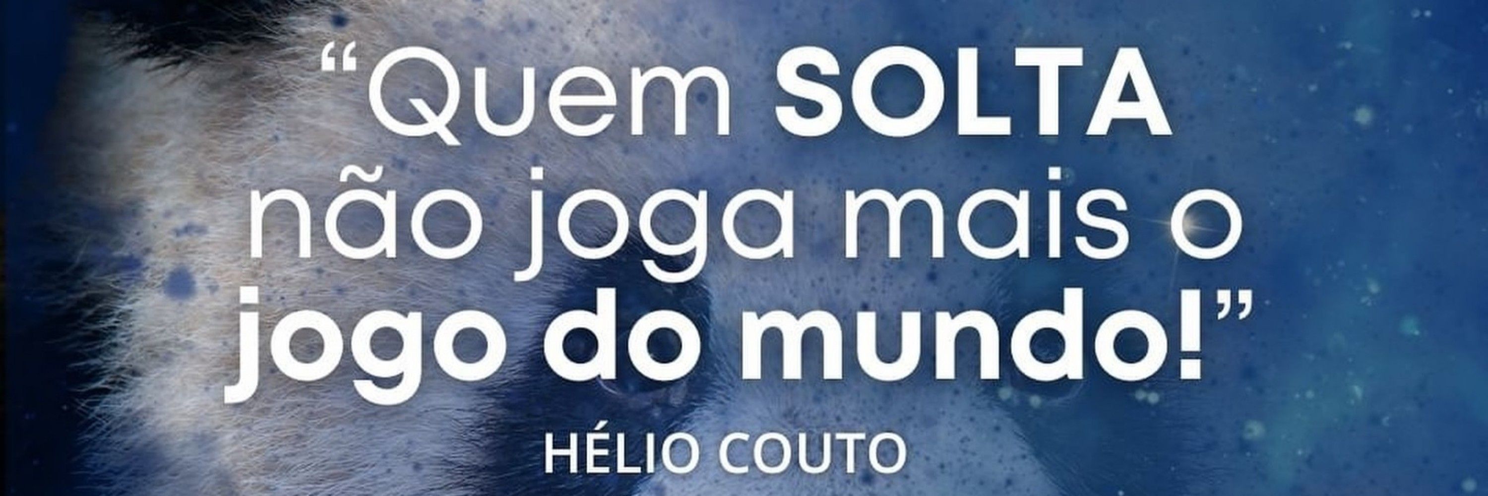 Hélio couto 