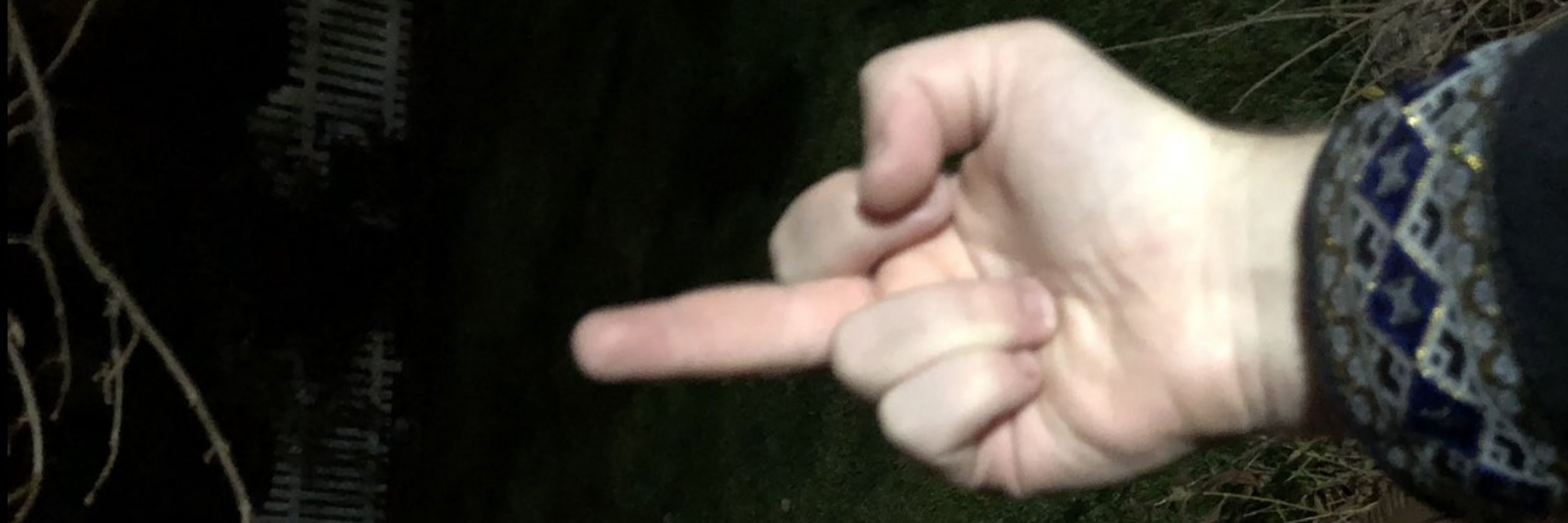 XSoniaX