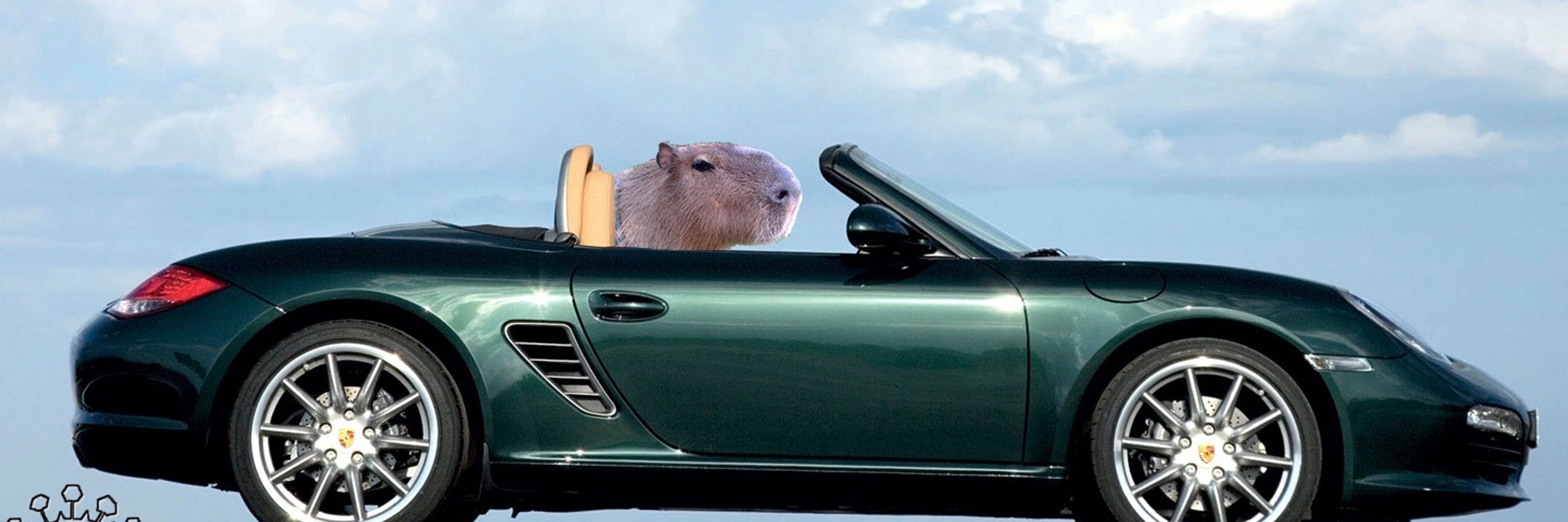 Stacy Capybara