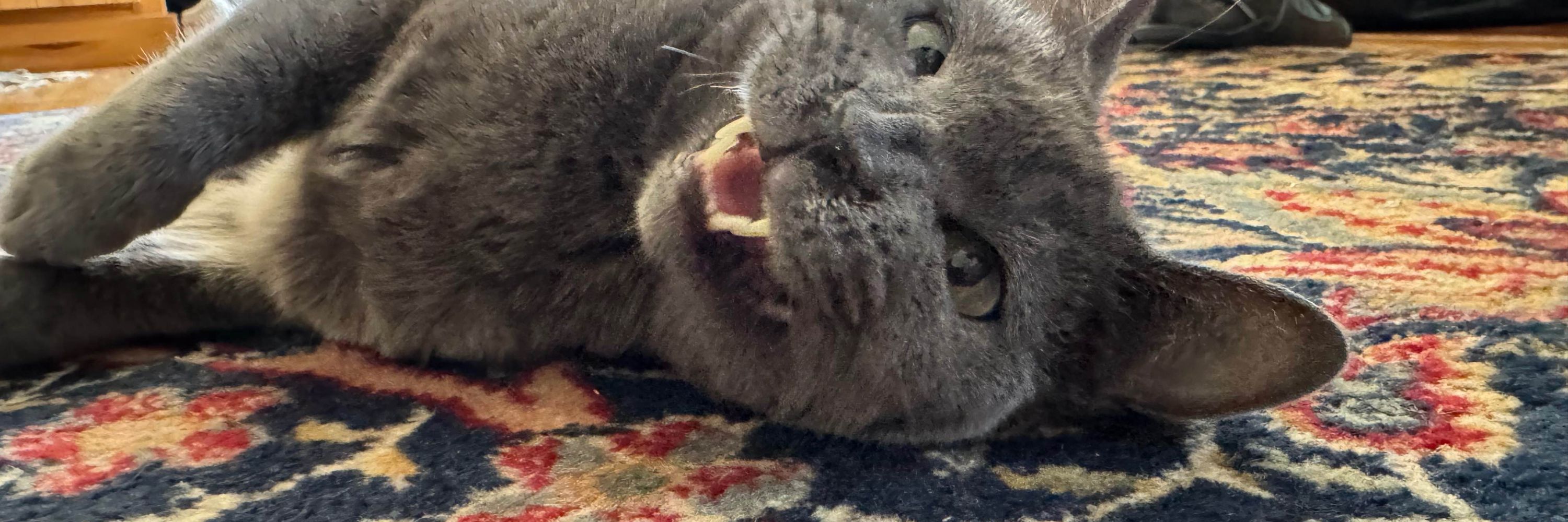 Isaac