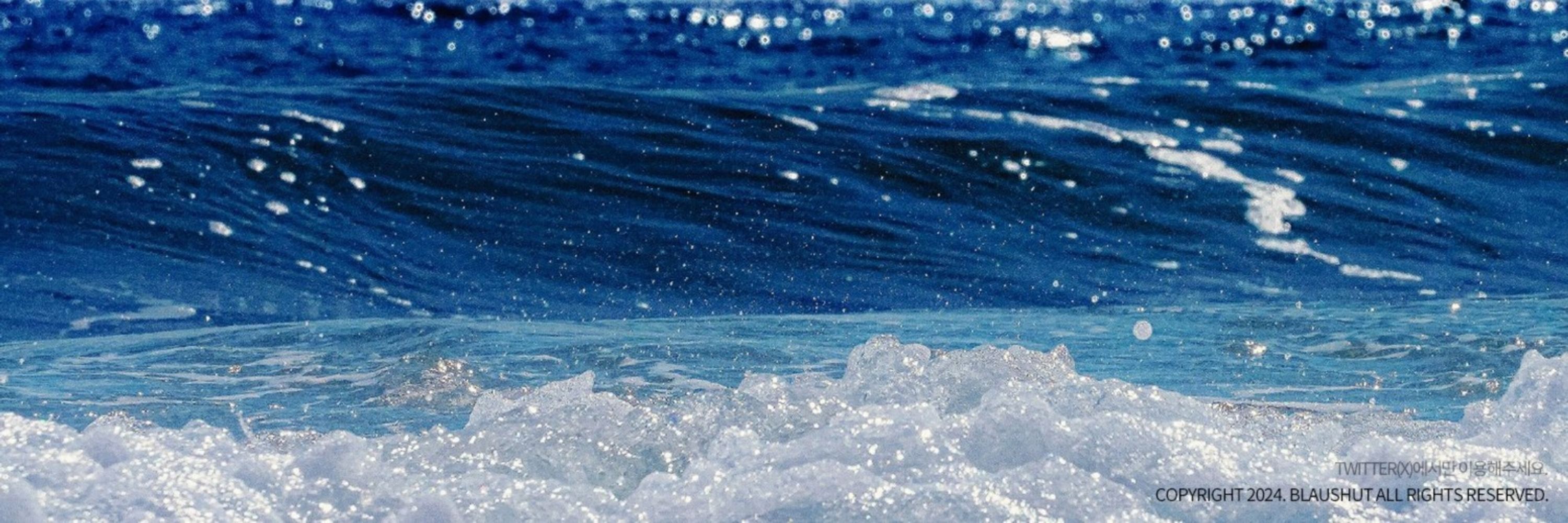 여름꽃🌊🩵
