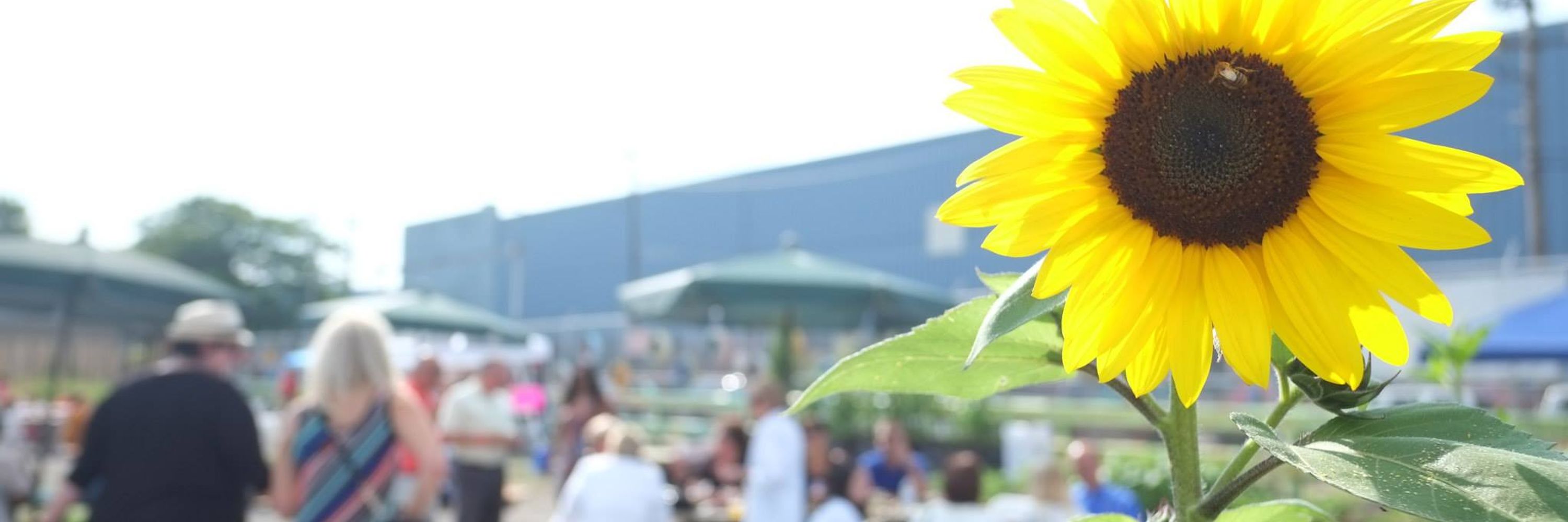Southwest Detroit Environmental Vision