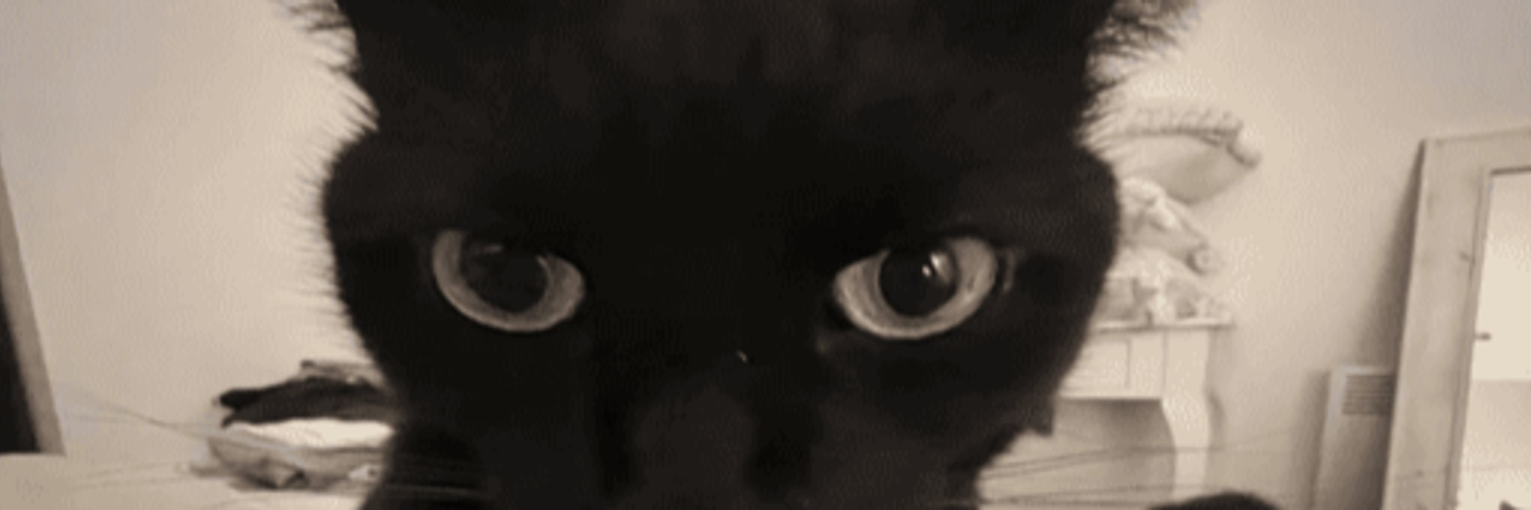 WeeGerGai
