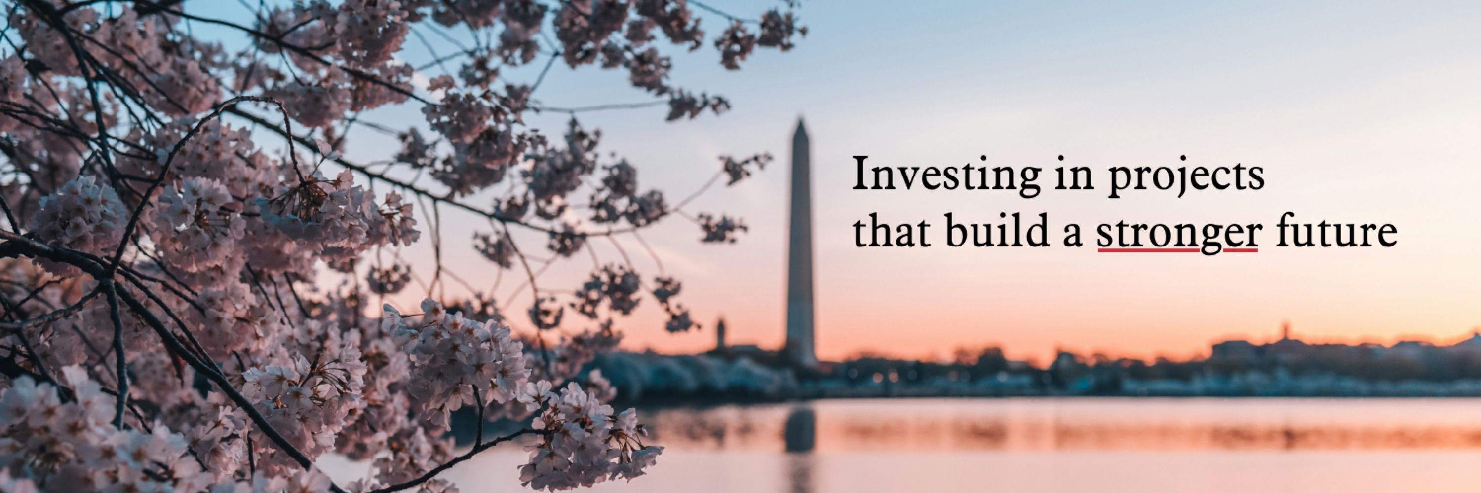 American Policy Ventures