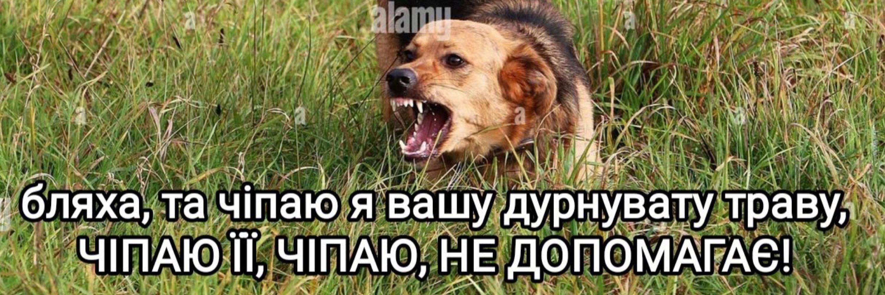 Рюмка Ромки 2