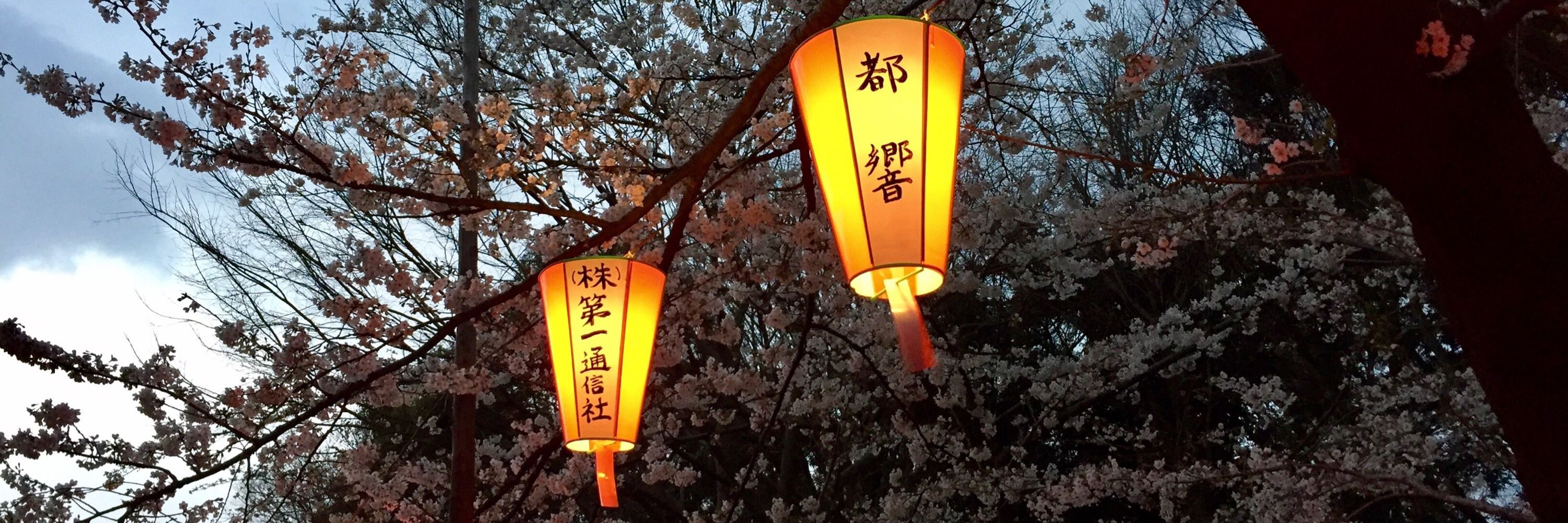たぬ Tanu