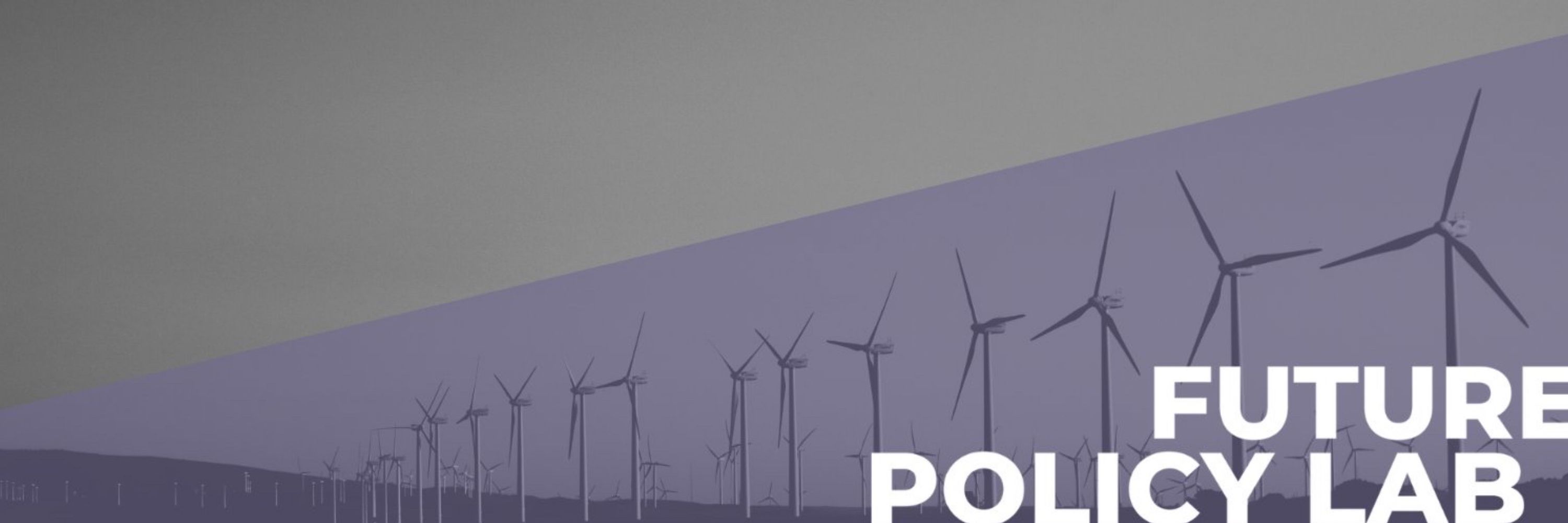 Future Policy Lab