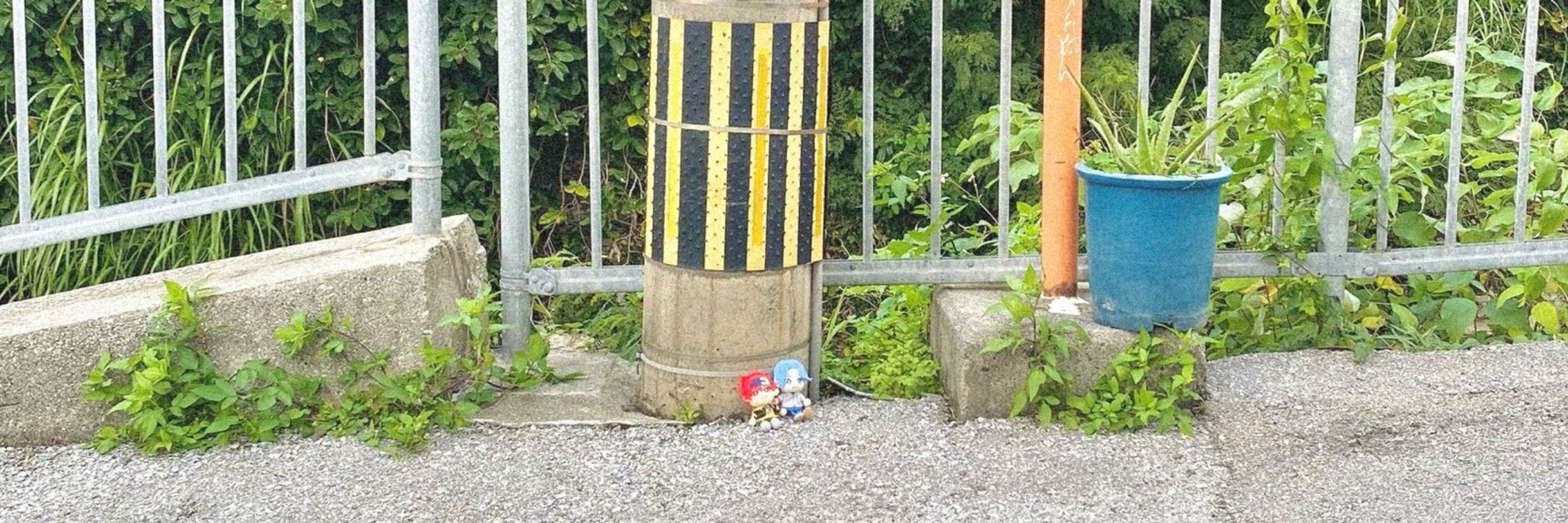 べす