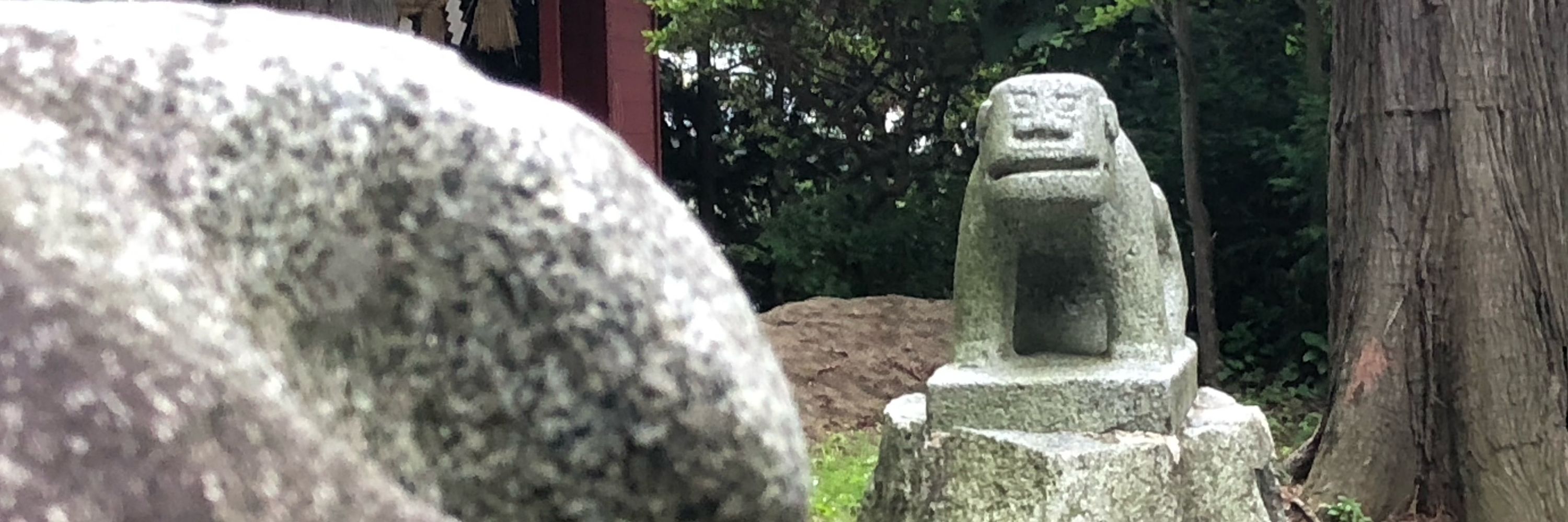 さば