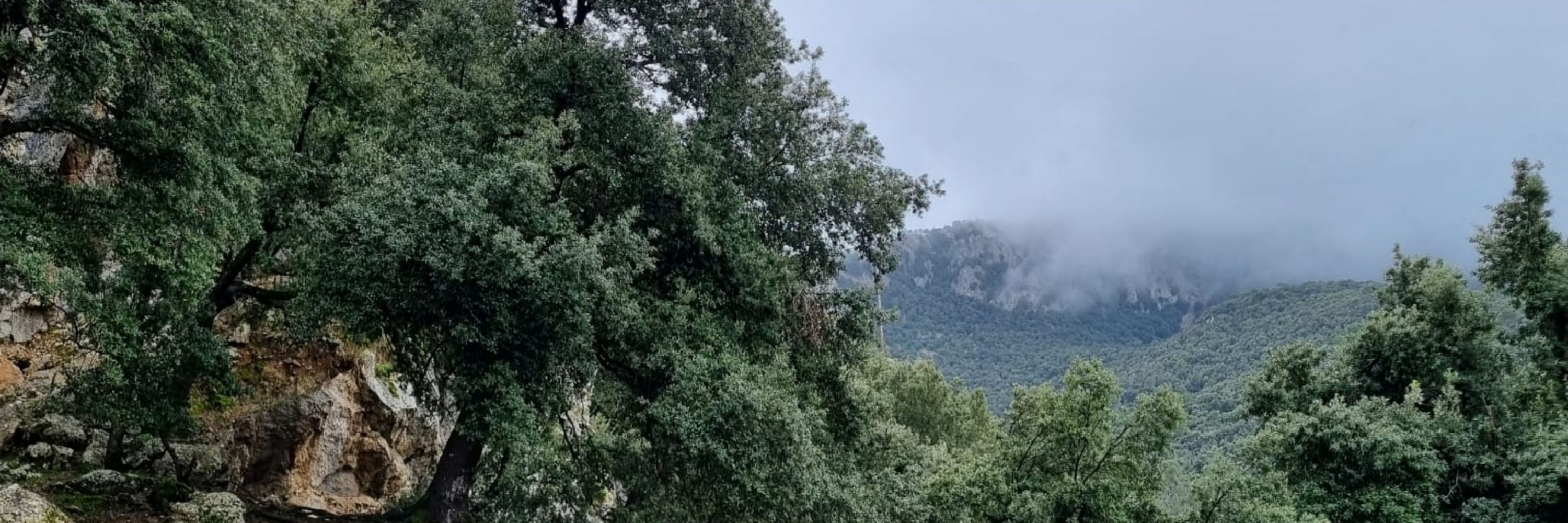 SchlechtwetterRadler